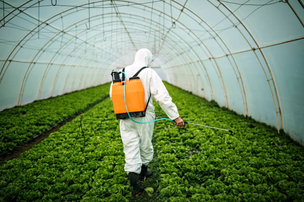 Best Best Pest Control Companies  in Cornell, WI
